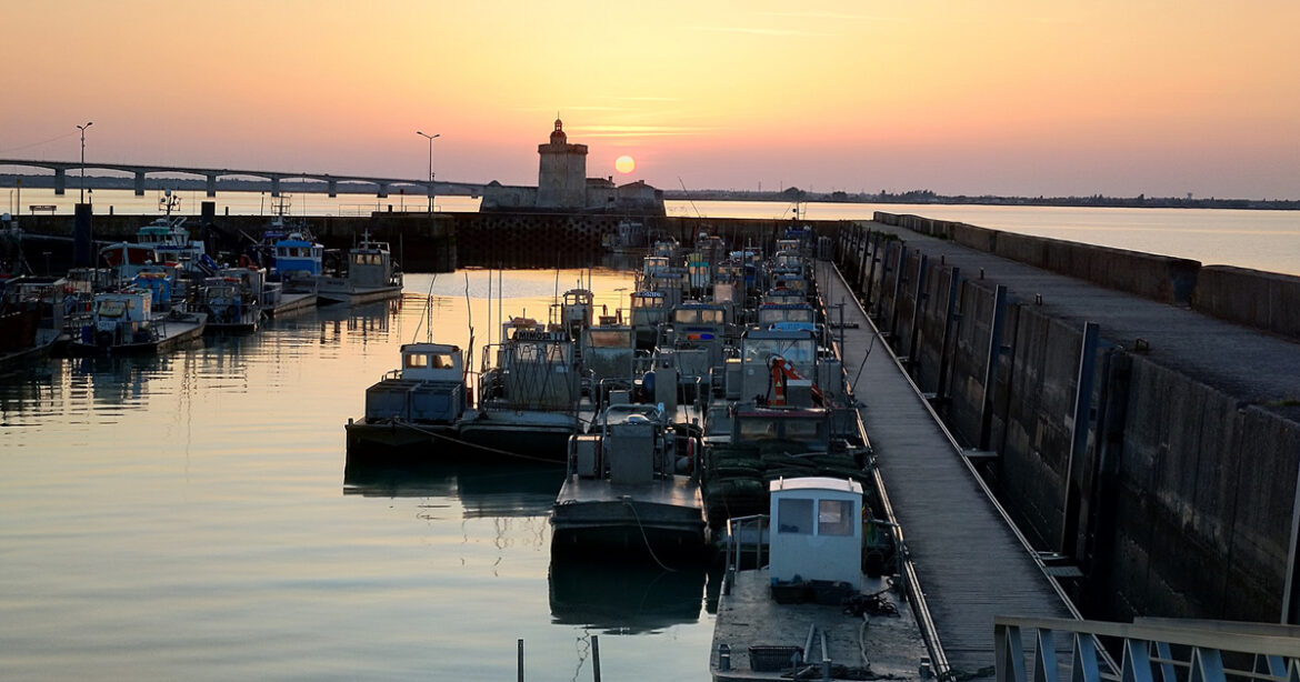 Le Port du Chapus : cœur battant de Bourcefranc